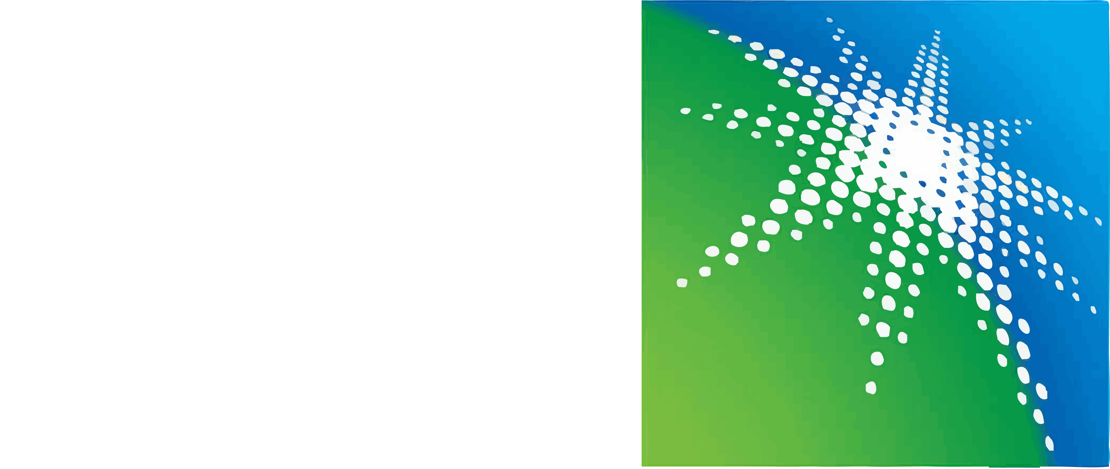 Partner 3